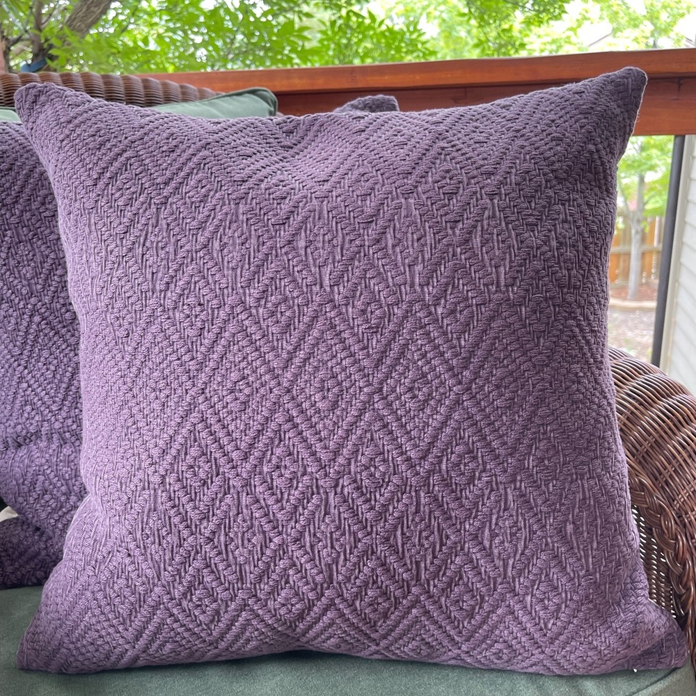 Pottery Barn pillow covers - set of 2